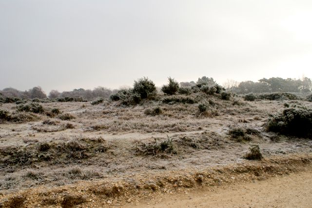 tumulus photo