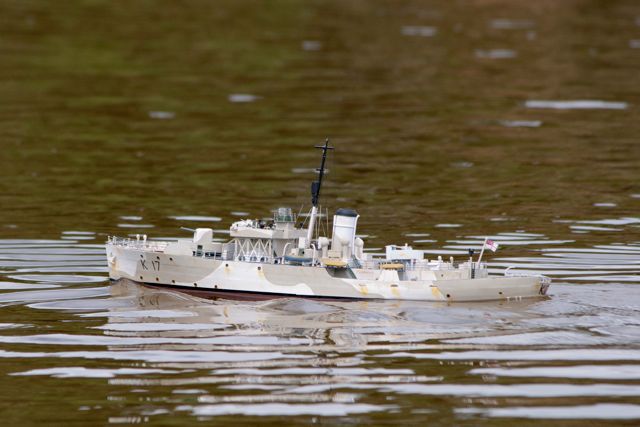 DSC02047 © Peter Taylor 2014