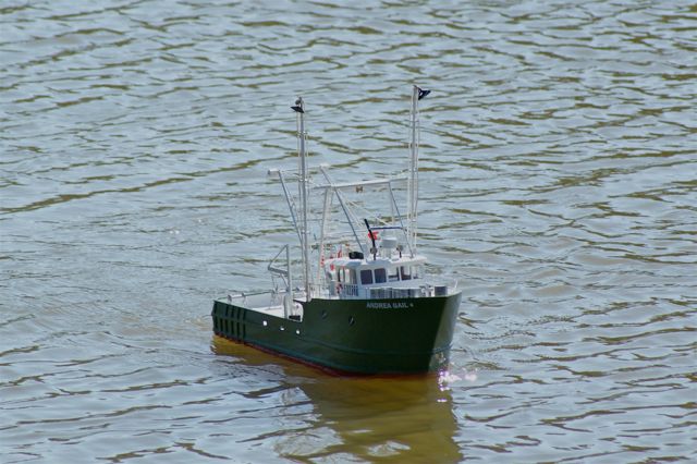 A100.04081105 © Peter Taylor 2007