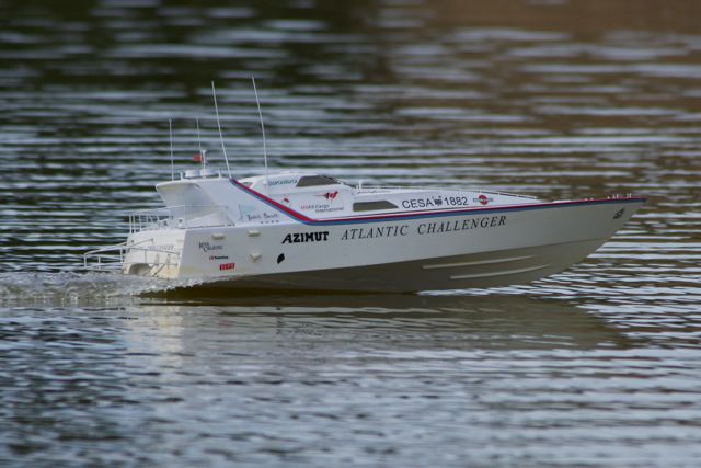 DSC01819 © Peter Taylor 2013