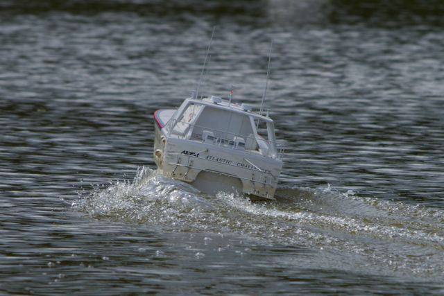 DSC01834 © Peter Taylor 2013