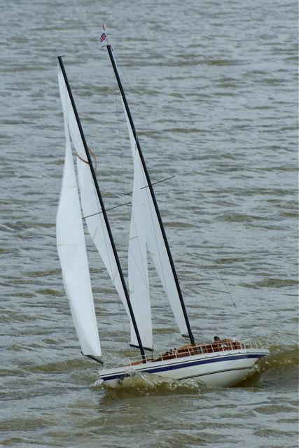 DSC01721 © Peter Taylor 2010