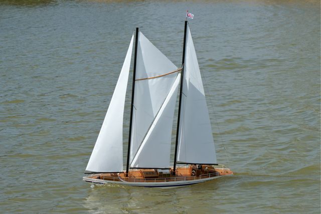 DSC00942 © Peter Taylor 2010