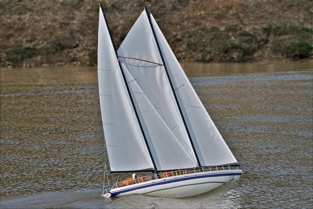 DSC03832 © Peter Taylor 2011