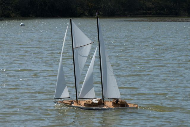 DSC00936 © Peter Taylor 2010