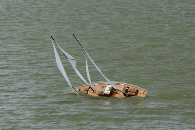 DSC01541 © Peter Taylor 2009