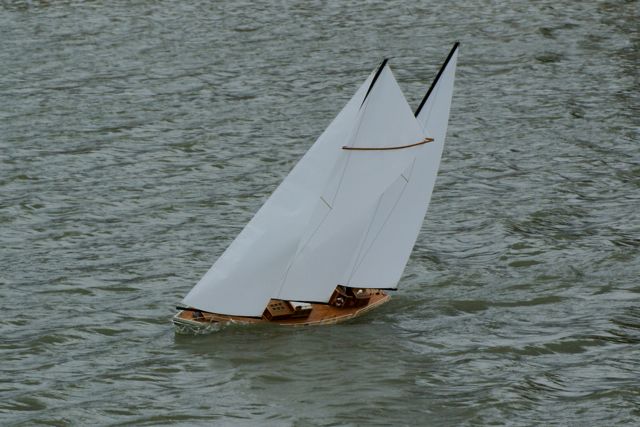 DSC01535 © Peter Taylor 2009