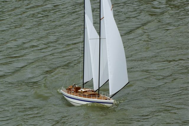 DSC01529 © Peter Taylor 2009