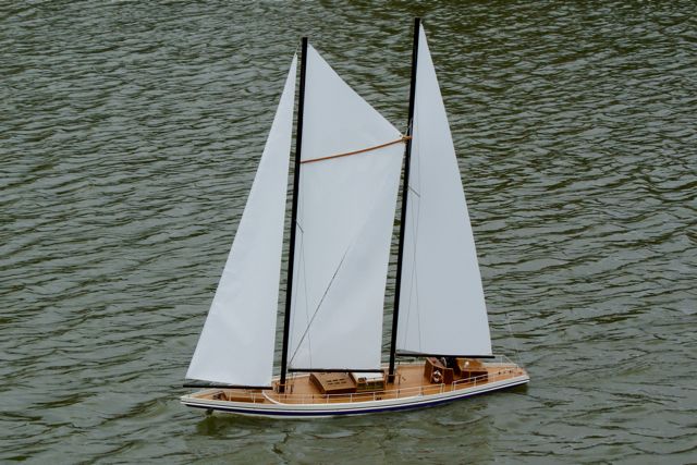 DSC01496 © Peter Taylor 2009