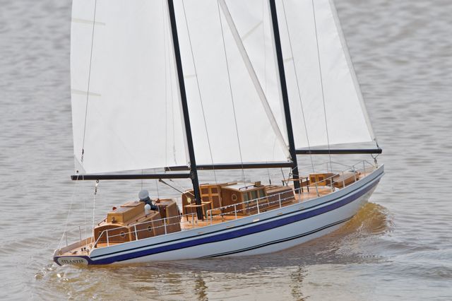 DSC03809 © Peter Taylor 2011