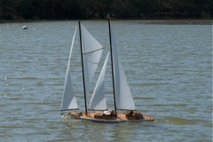 DSC00936 © Peter Taylor 2010