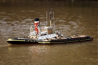 DSC04171 © Peter Taylor 2011