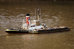 DSC04171 © Peter Taylor 2011