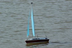 Blue Sailed Sloop