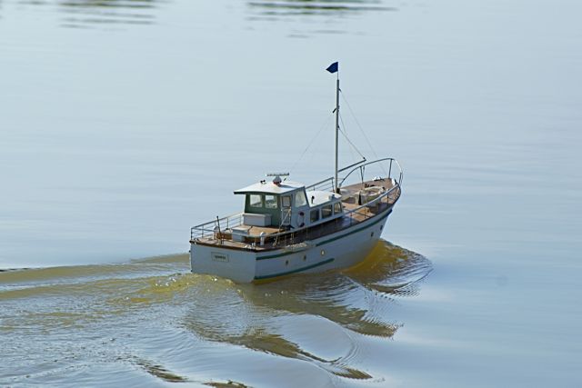 DSC07002 © Peter Taylor 2008