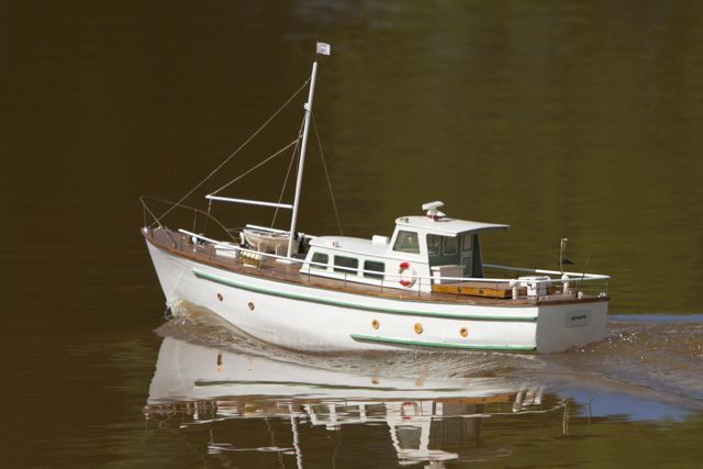 DSC06095 © Peter Taylor 2011