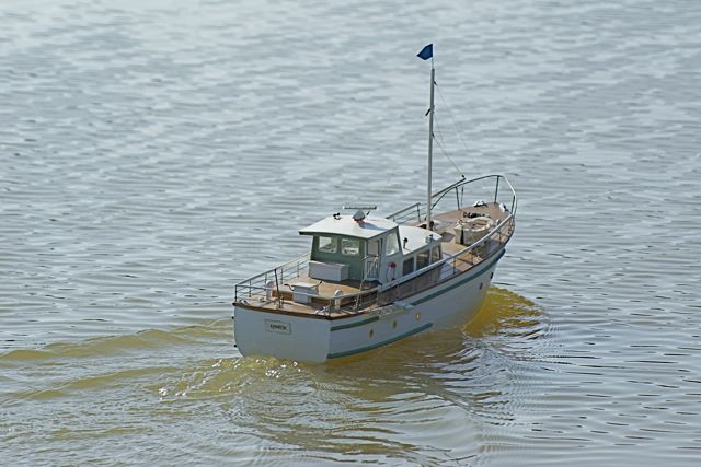 DSC07069 © Peter Taylor 2008