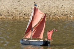 DSC08015 © Peter Taylor 2011