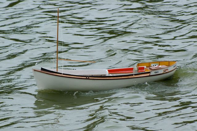 DSC01775 © Peter Taylor 2009