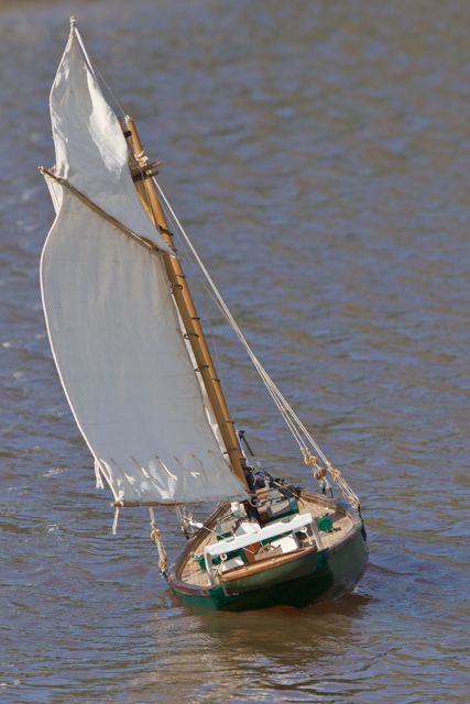 DSC04486 © Peter Taylor 2011
