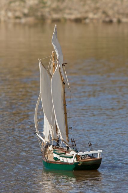 DSC04476 © Peter Taylor 2011