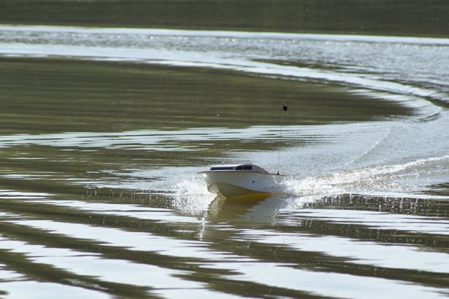 DSC07026 © Peter Taylor 2008