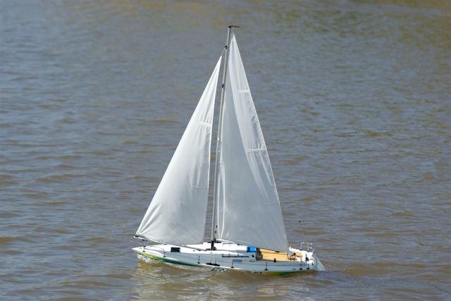 A100.08041804  © Peter Taylor 2008