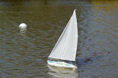 A100.08041802  © Peter Taylor 2008