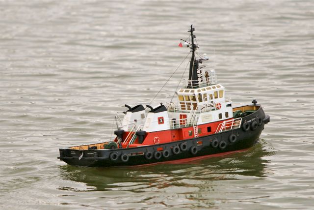 DSC08801 © Peter Taylor 2011