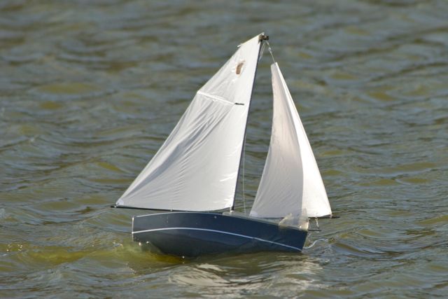 DSC08202 © Peter Taylor 2011