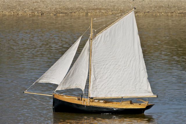 DSC09483 © Peter Taylor 2012