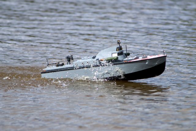 DSC05560 © Peter Taylor 2011
