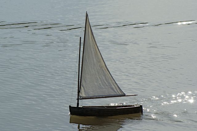 DSC07389 © Peter Taylor 2008