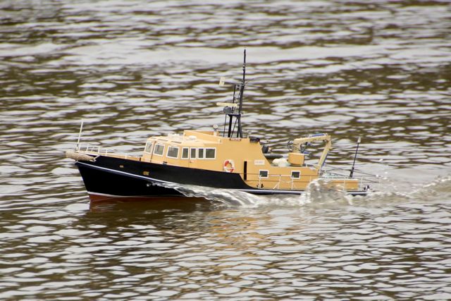 DSC02588 © Peter Taylor 2012