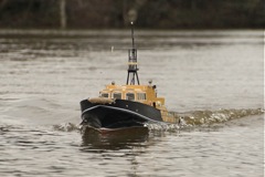 DSC02602 © Peter Taylor 2012
