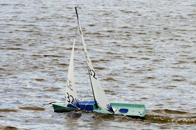 DSC03555 © Peter Taylor 2012