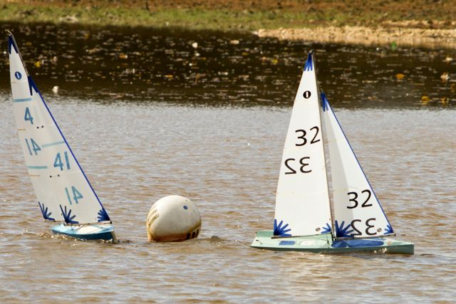 DSC03540 © Peter Taylor 2012