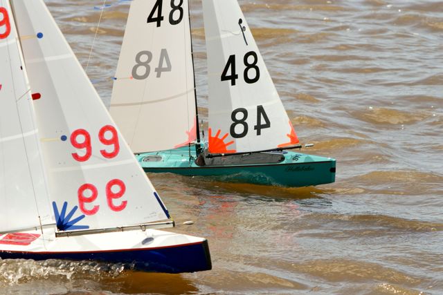 DSC03792 © Peter Taylor 2012