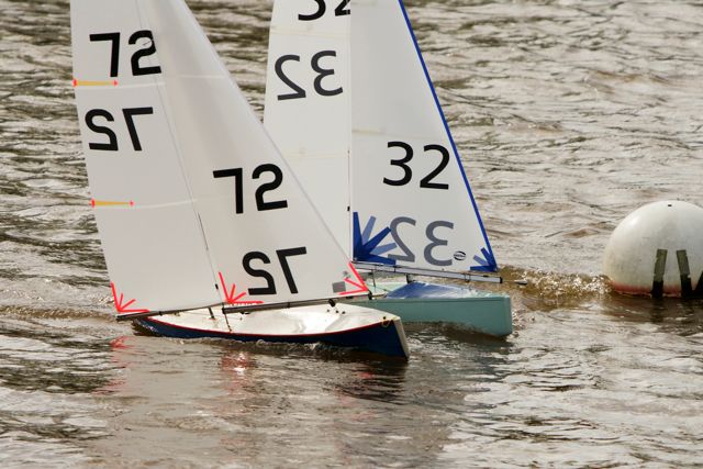 DSC03494 © Peter Taylor 2012