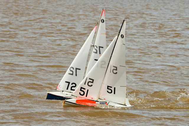 DSC03738 © Peter Taylor 2012