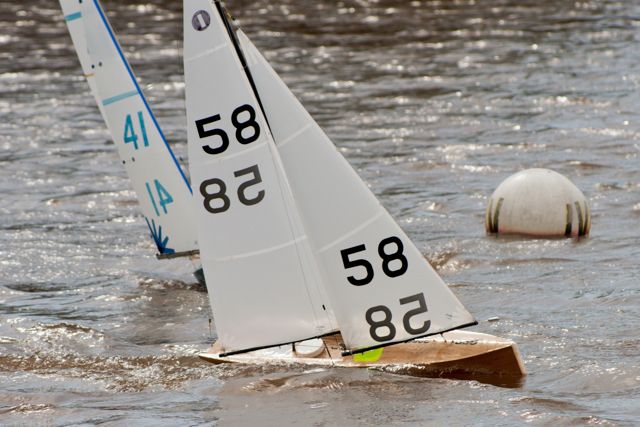 DSC09906 © Peter Taylor 2012