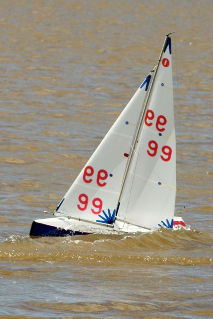 DSC03784 © Peter Taylor 2012
