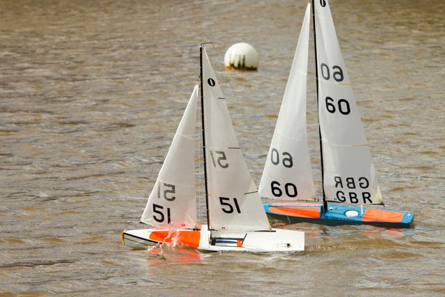 DSC03805 © Peter Taylor 2012