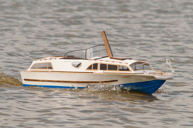 DSC01591 © Peter Taylor 2013