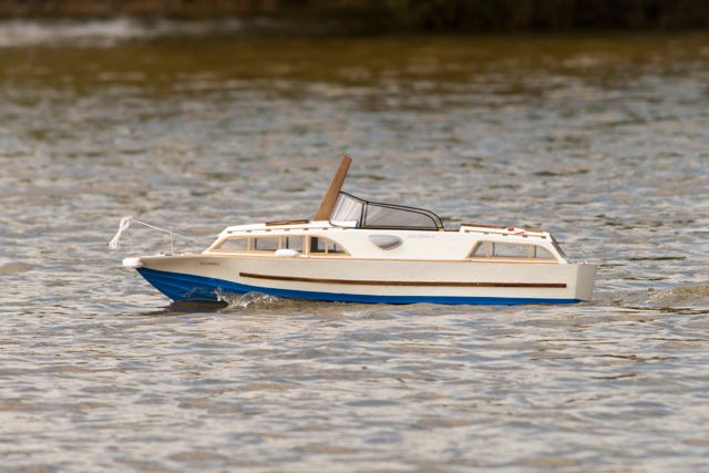 DSC01589 © Peter Taylor 2013