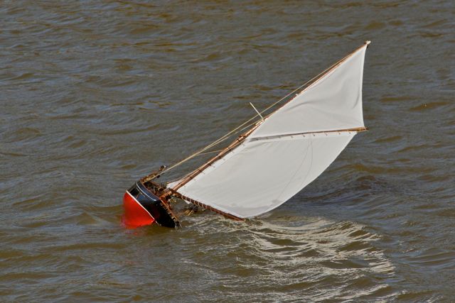 DSC06649  © Peter Taylor 2015