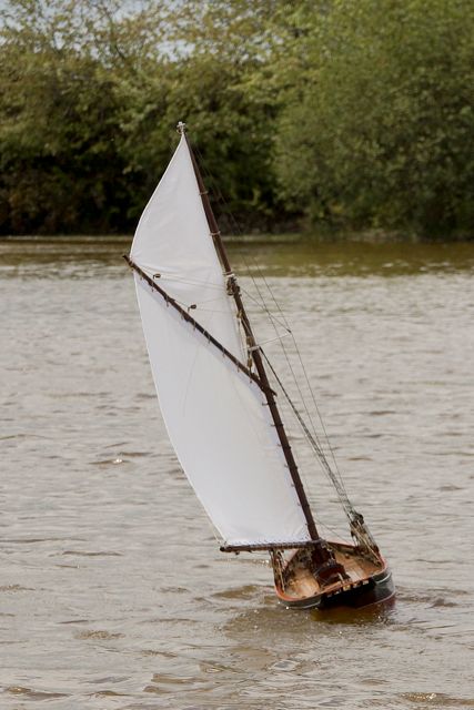DSC06916  © Peter Taylor 2015