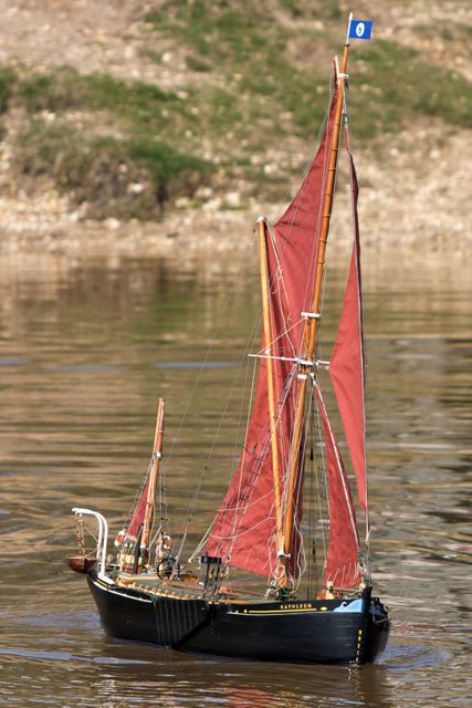 DSC04838 © Peter Taylor 2011