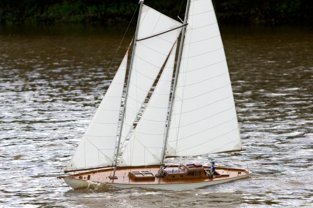 DSC06228 © Peter Taylor 2011