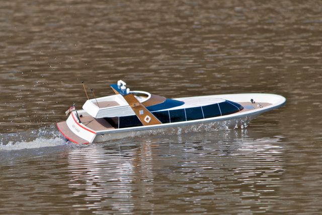 DSC09501 © Peter Taylor 2012